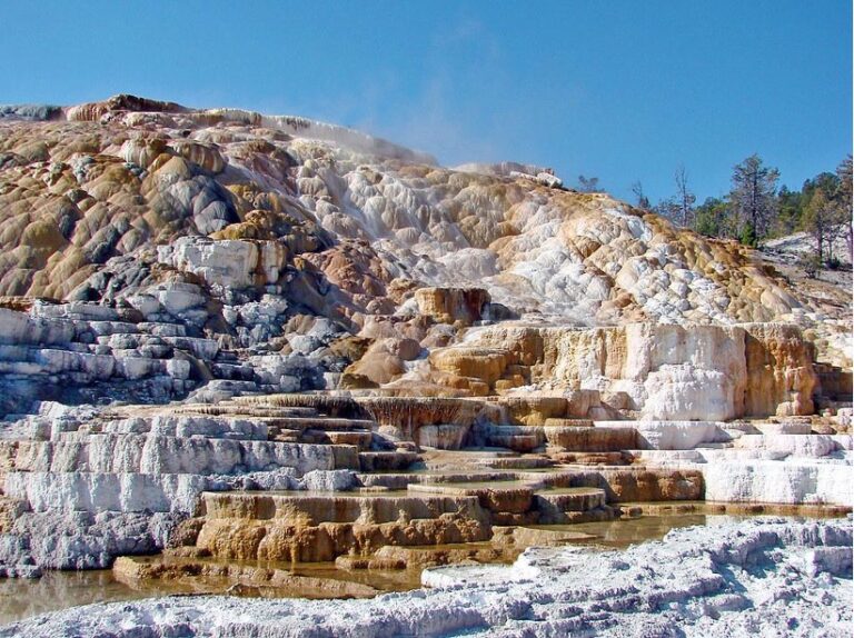 Thermophilic Life In Yellowstone National Park Challenges The Physical