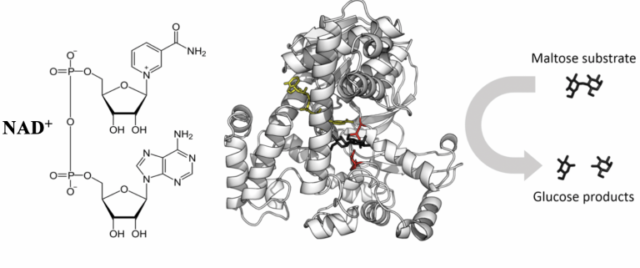 Uv Vis Spectroscopy A Step In The Light Direction Icjs