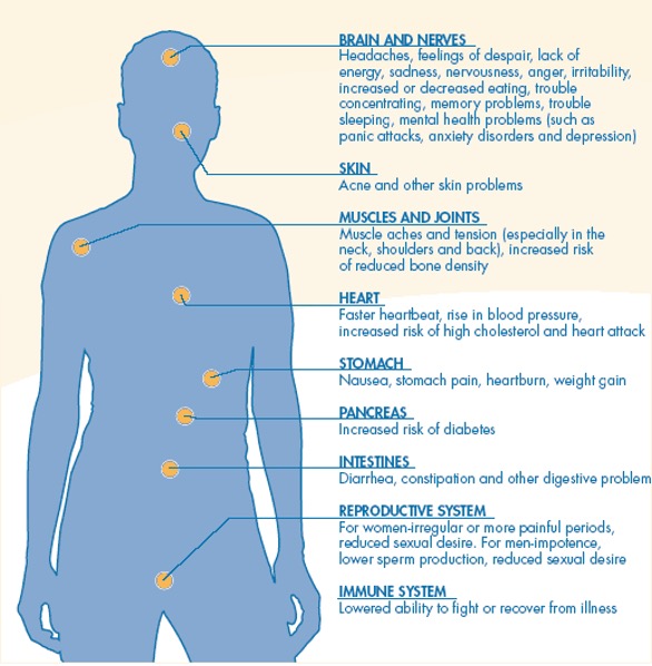 This figure shows several of the different effects of stress on different organs, muscles, and body systems.