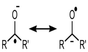 A New Tool in The Box: Radicals and Organic Synthesis