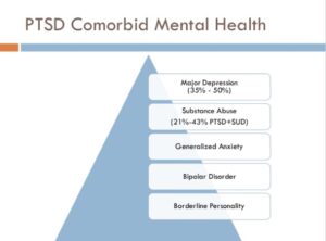 Brain Circuit Disorders in PTSD