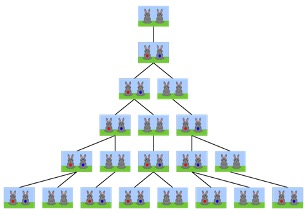 A pictograph of the famous “Rabbit problem”. Each pair of rabbits begets a new pair after a month.