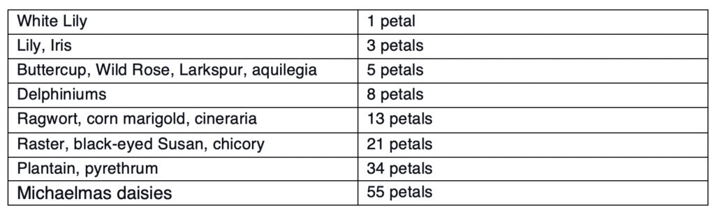 A table showing various flowers and the corresponding number of petals. The number of petals follow the Fibonacci Sequence pattern (Allen, 2018).