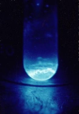 Unusual Chemistry of the Rare Element Einsteinium