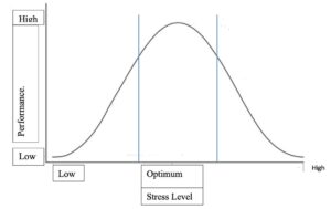 Retitling Stress: A Look at the Yerkes-Dodson Law