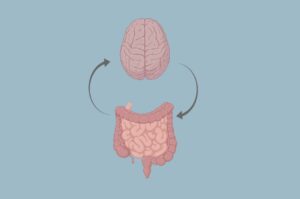 The Microbiota-Gut-Brain Axis May Be the Missing Link Between Autism Spectrum Disorder and Anorexia Nervosa