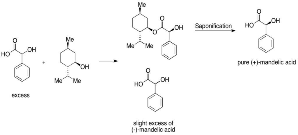 Figure 3: Example of Kinetic Resolution – mixture of mandelic acid is reacted with chiral menthol. One of the enantiomers of mandelic acid, the D enantiomer (the plus indicates the direction a solution would rotate plane-polarized light) combines more readily with pure menthol; after saponification (treatment with aqueous base), a pure mandelic acid can be produced